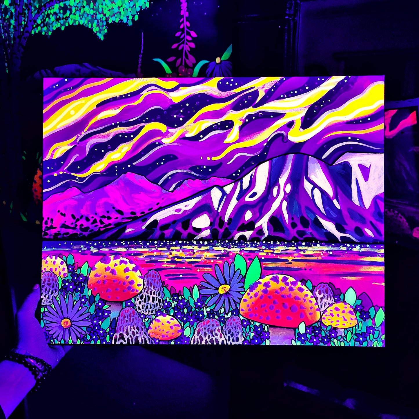16x20 Psychedelic Susitna