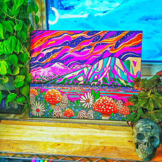 16x20 Psychedelic Susitna